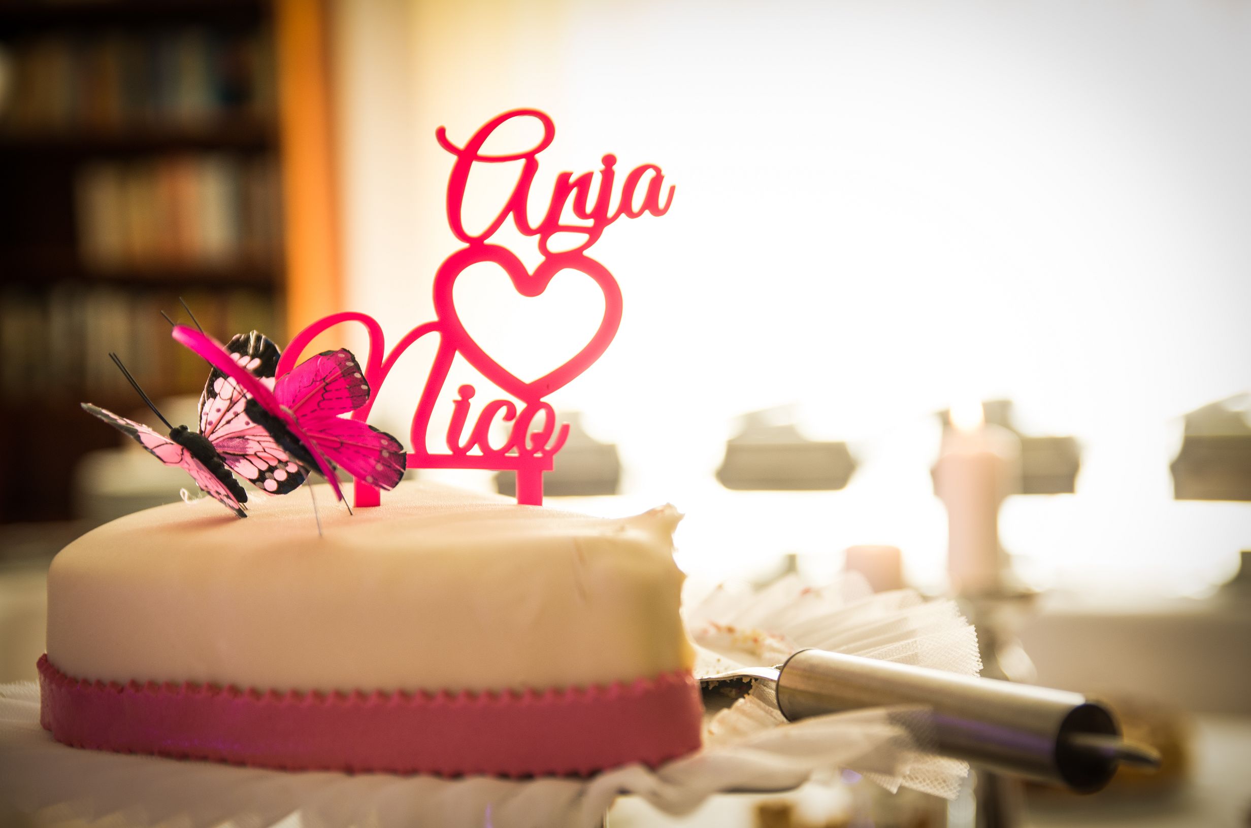 Die Hochzeit von Anja & Nico